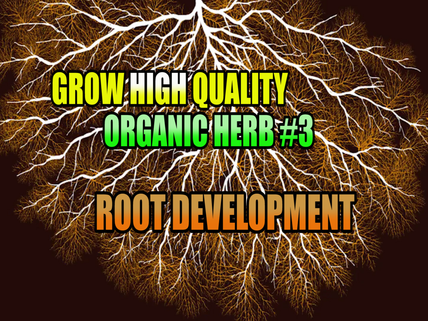 green grow organic roots